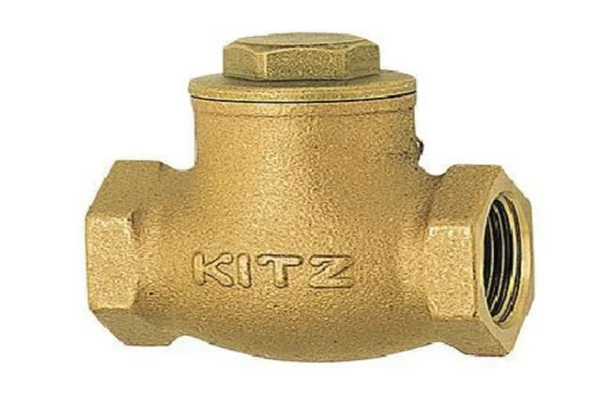 Van kitz